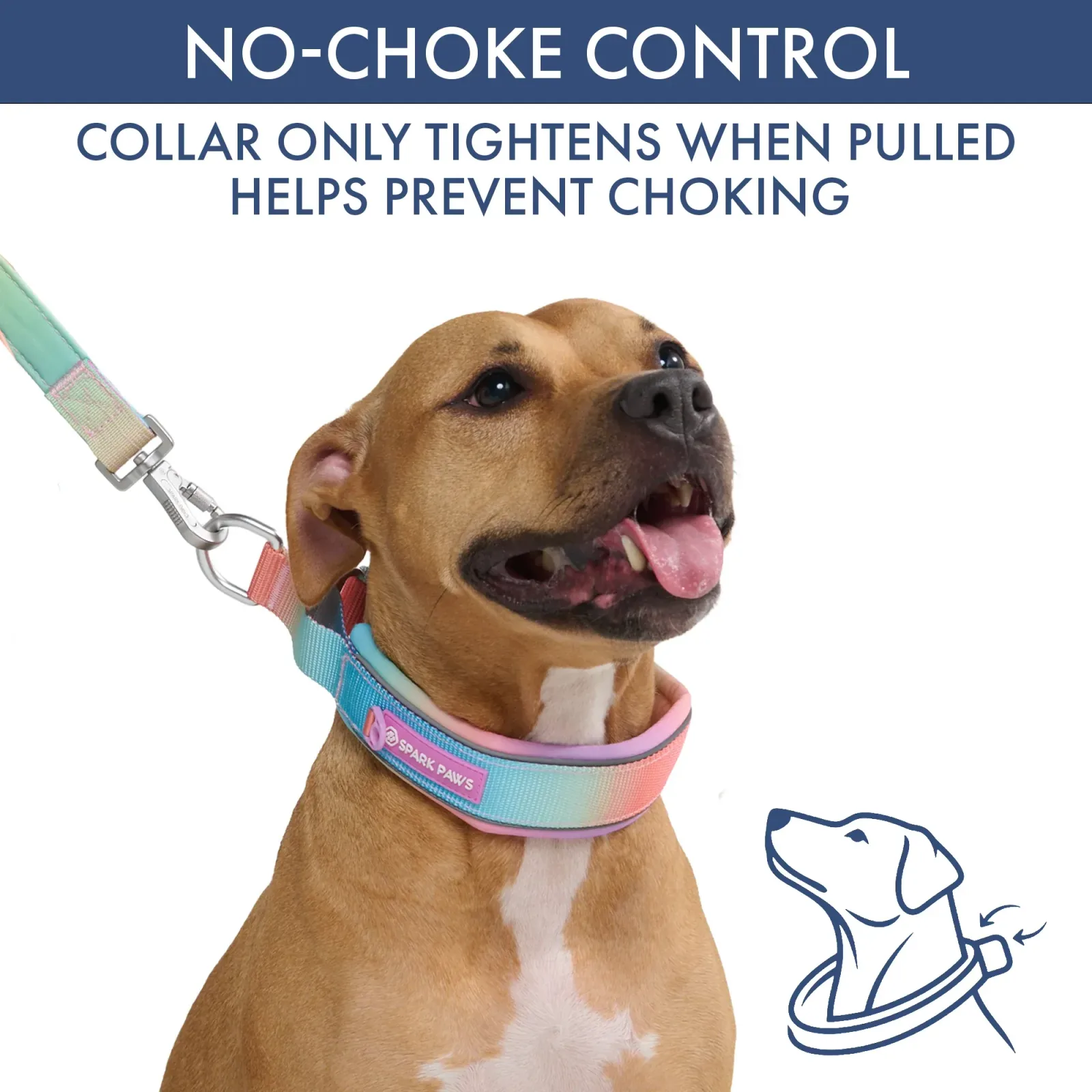 Martingale Collar Set – Pastel Icing