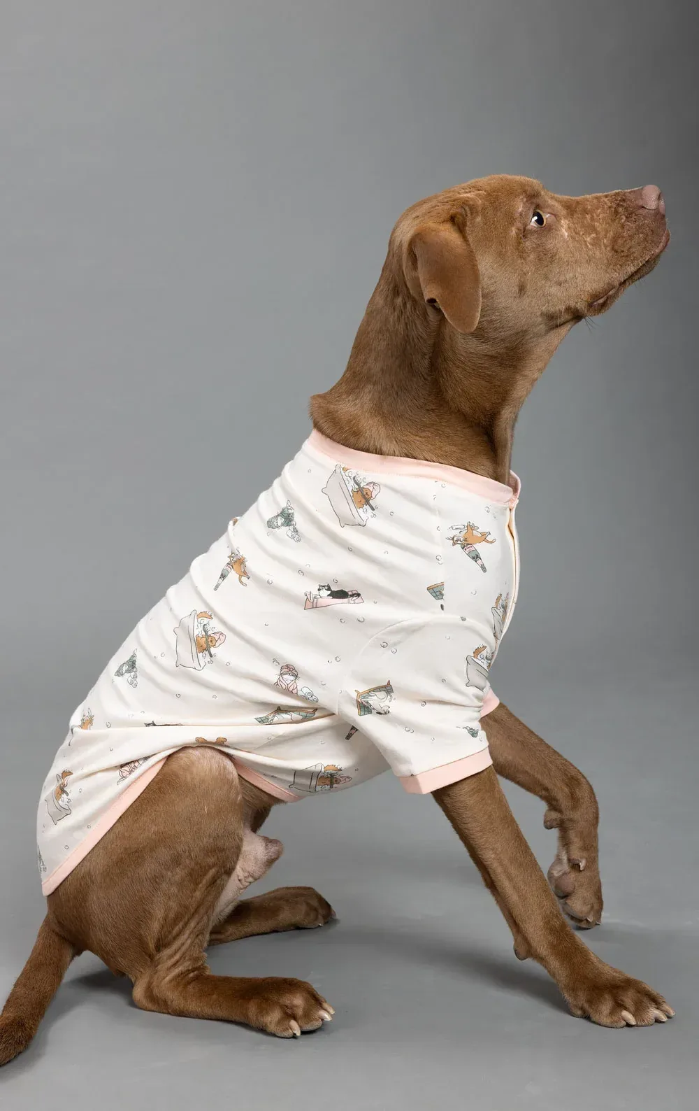 Staycation Pet Pajamas