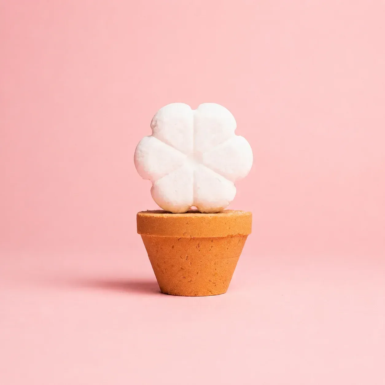 Flower Pot Bath Bomb 2 Pack