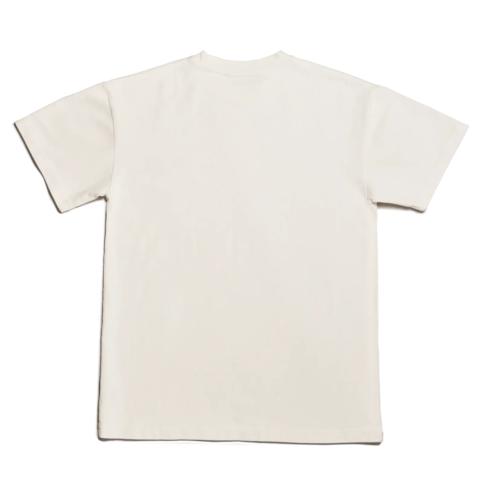 Varsity Logo T-shirt in Moonbeam, 4X