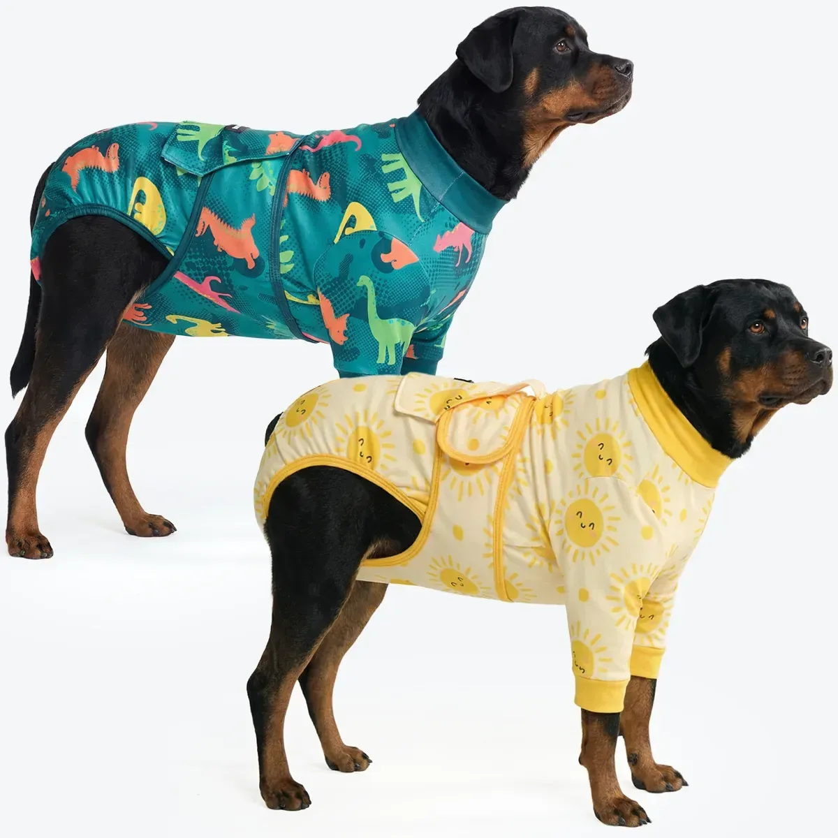 Dog Surgical Suit (2-pack) – Dinosaurs and Sunshine