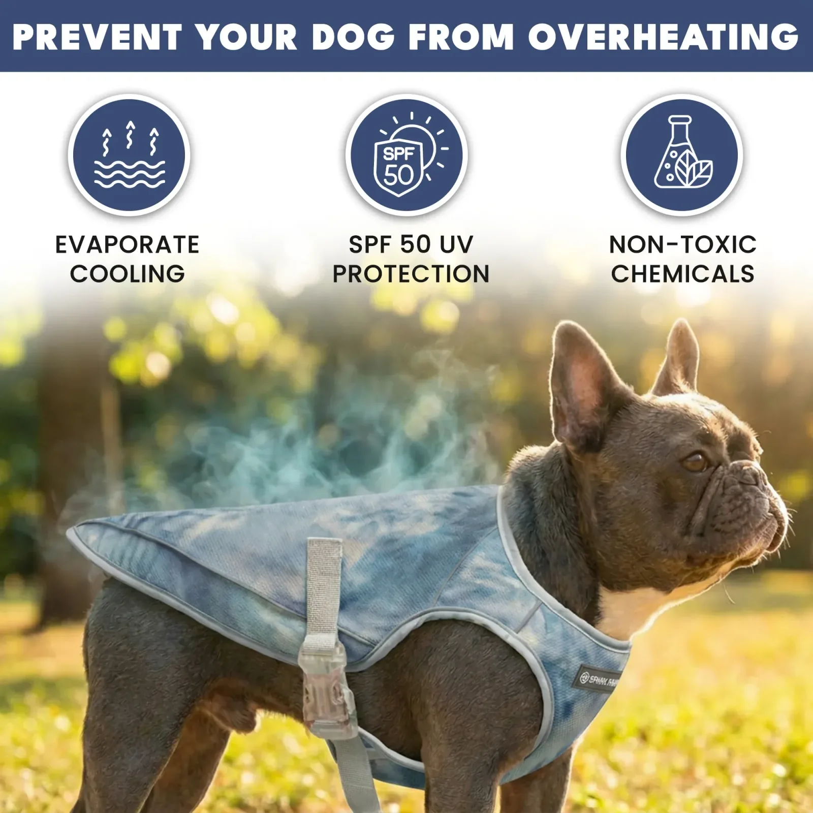 Dog Cooling Vest (2-pack) – Ice Blue & Tropical Storm