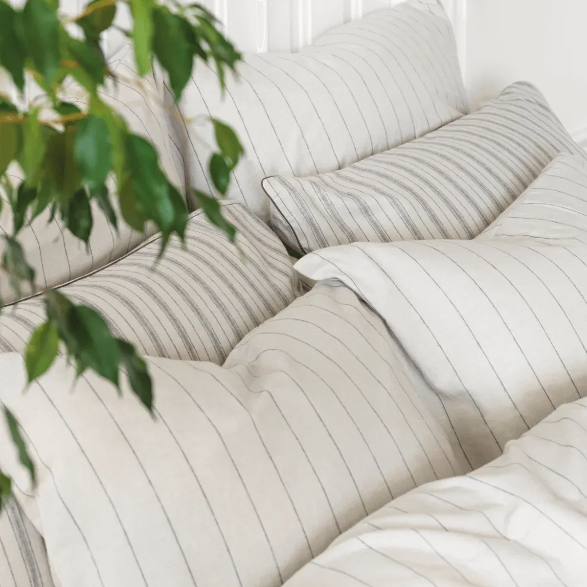 Brushed Cotton 5-Piece Sheet & Duvet Cover Set