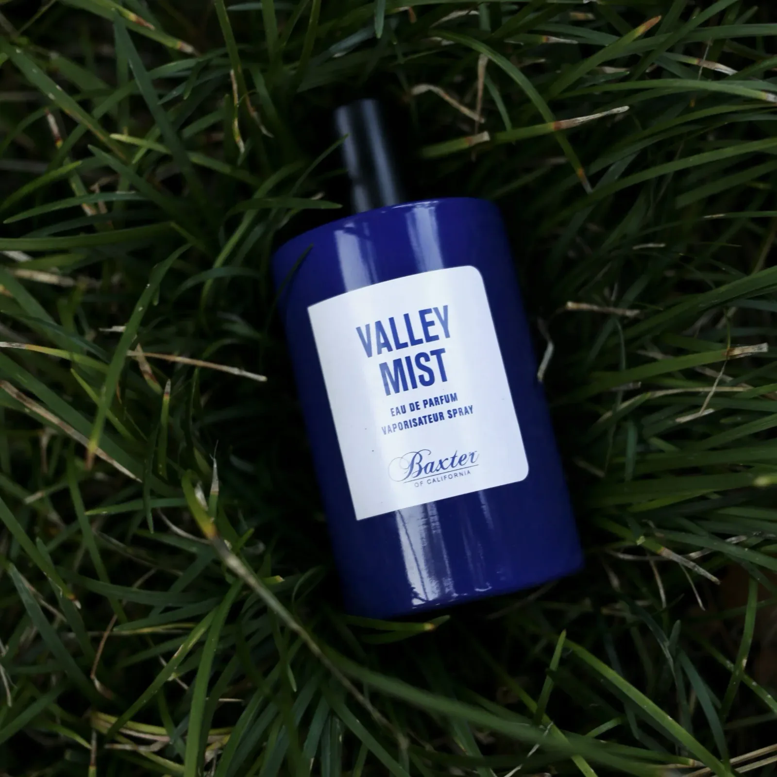 Valley Mist