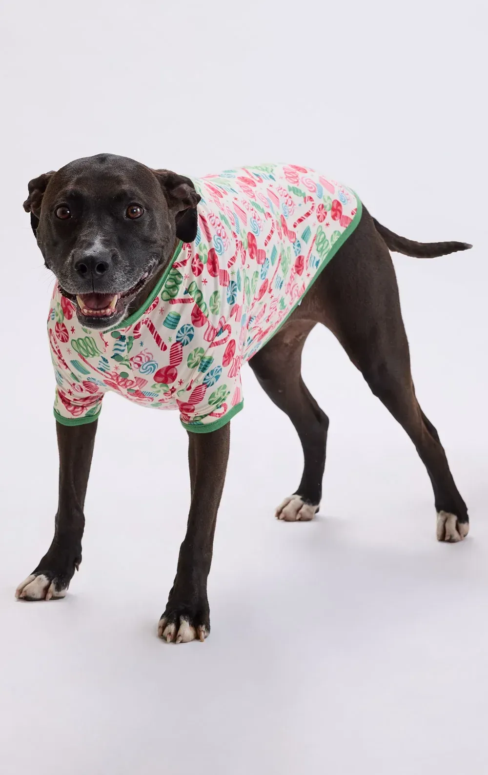 Ribbon Candy Pet Pajamas