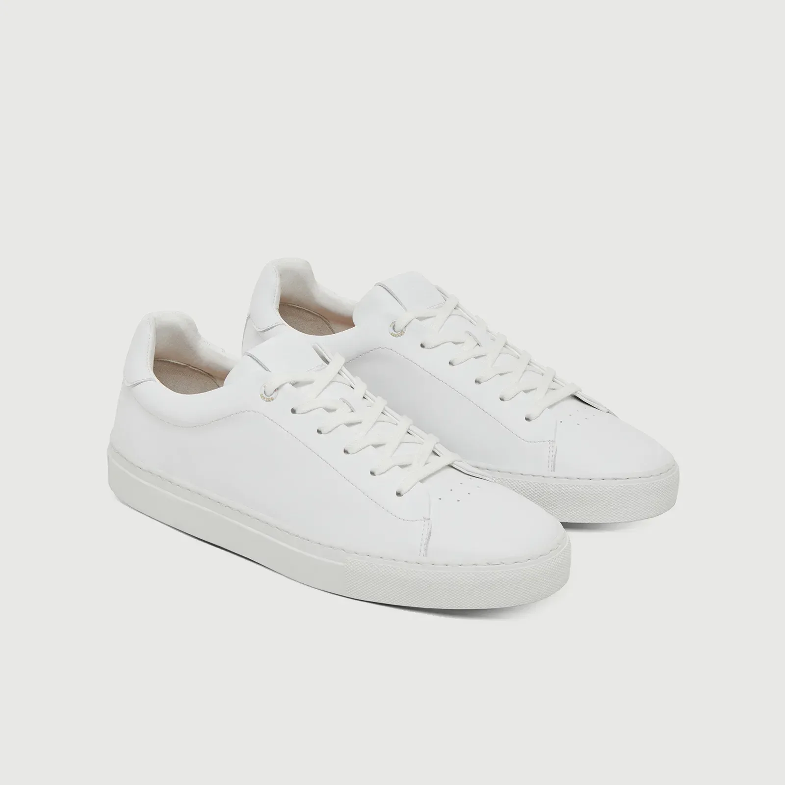 The Regent 2.0 – Blanco