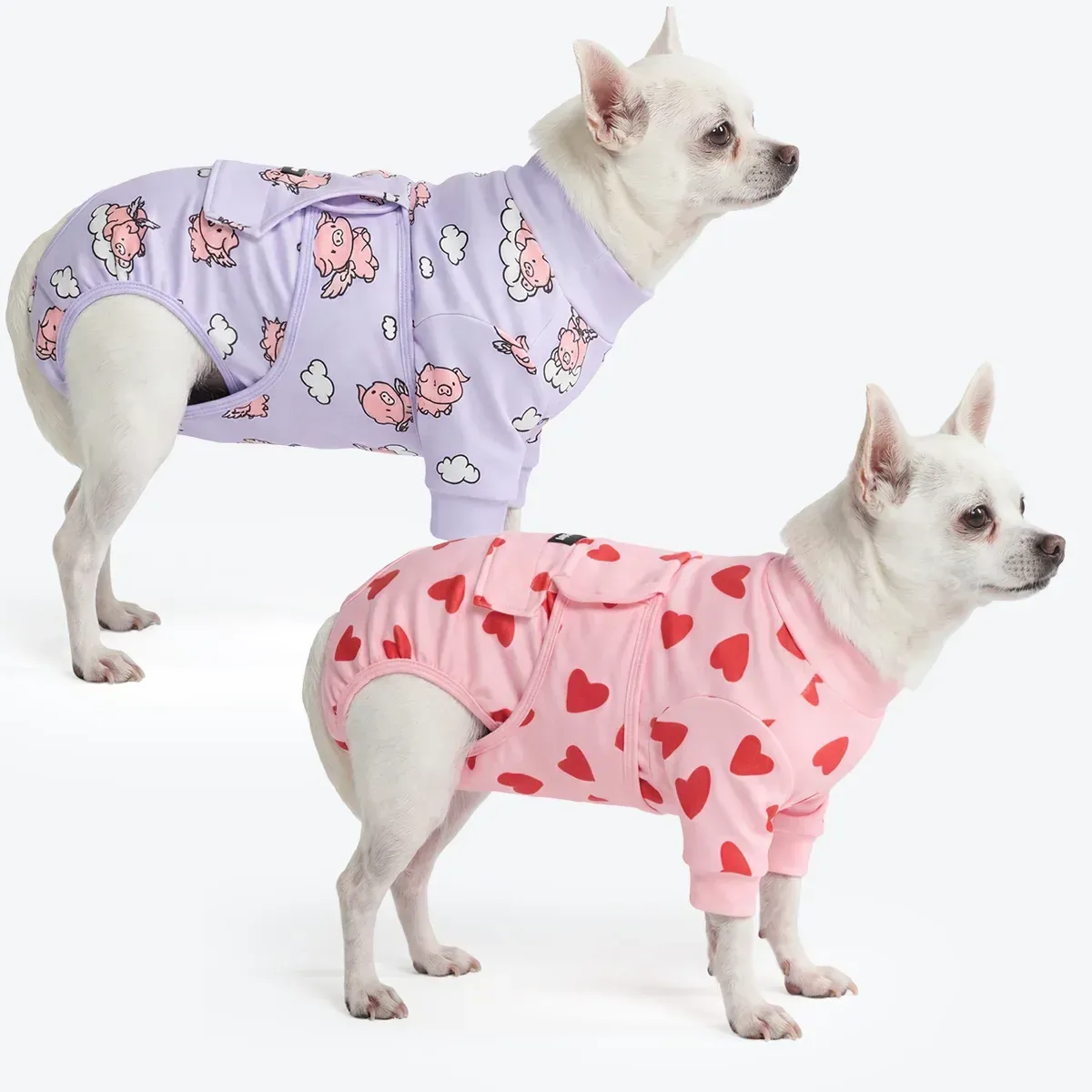 Dog Surgical Suit (2-pack) – Pink Hearts and When Pigs Fly