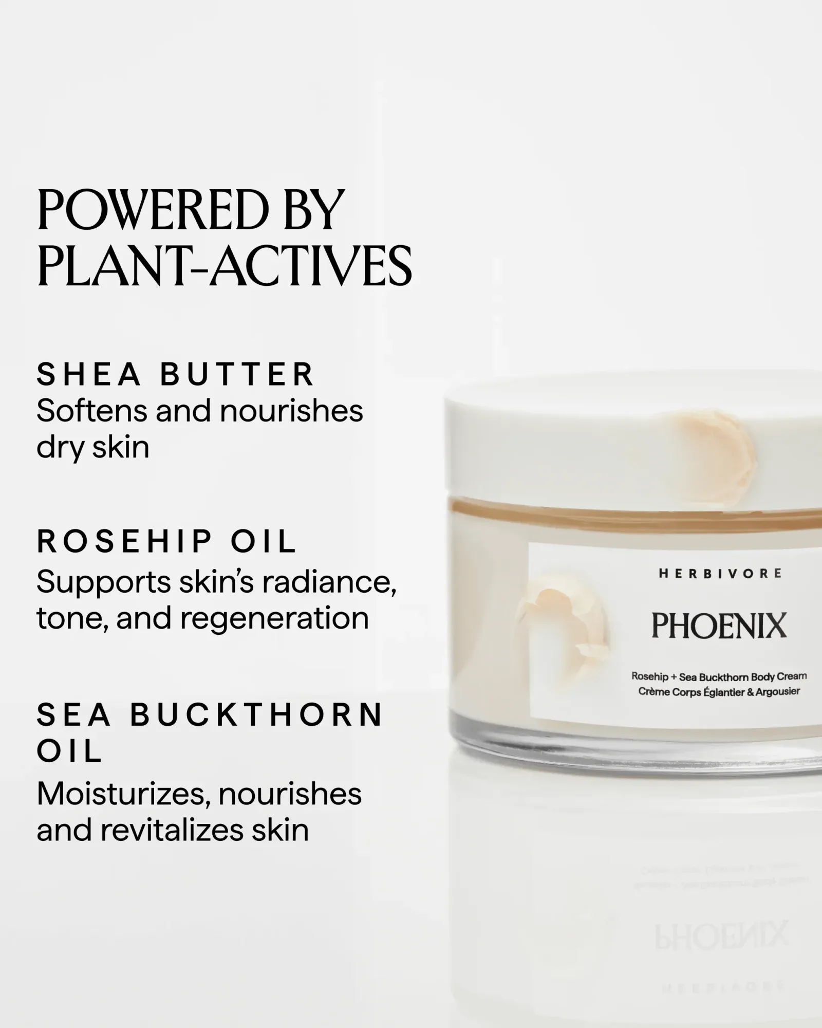 PHOENIX Rosehip + Sea Buckthorn Body Cream