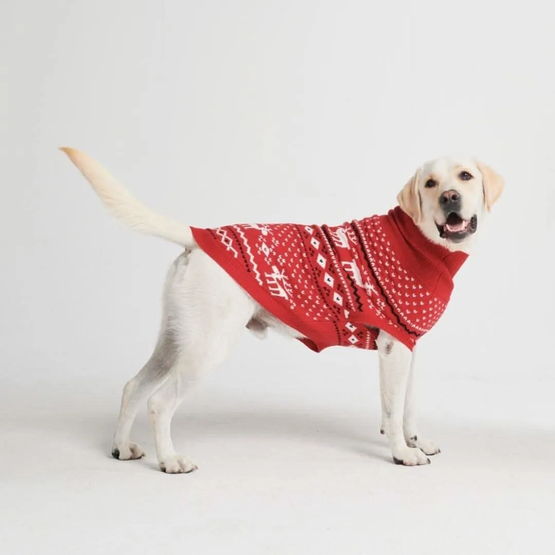 Knit Christmas Dog Sweater – Dasher Red