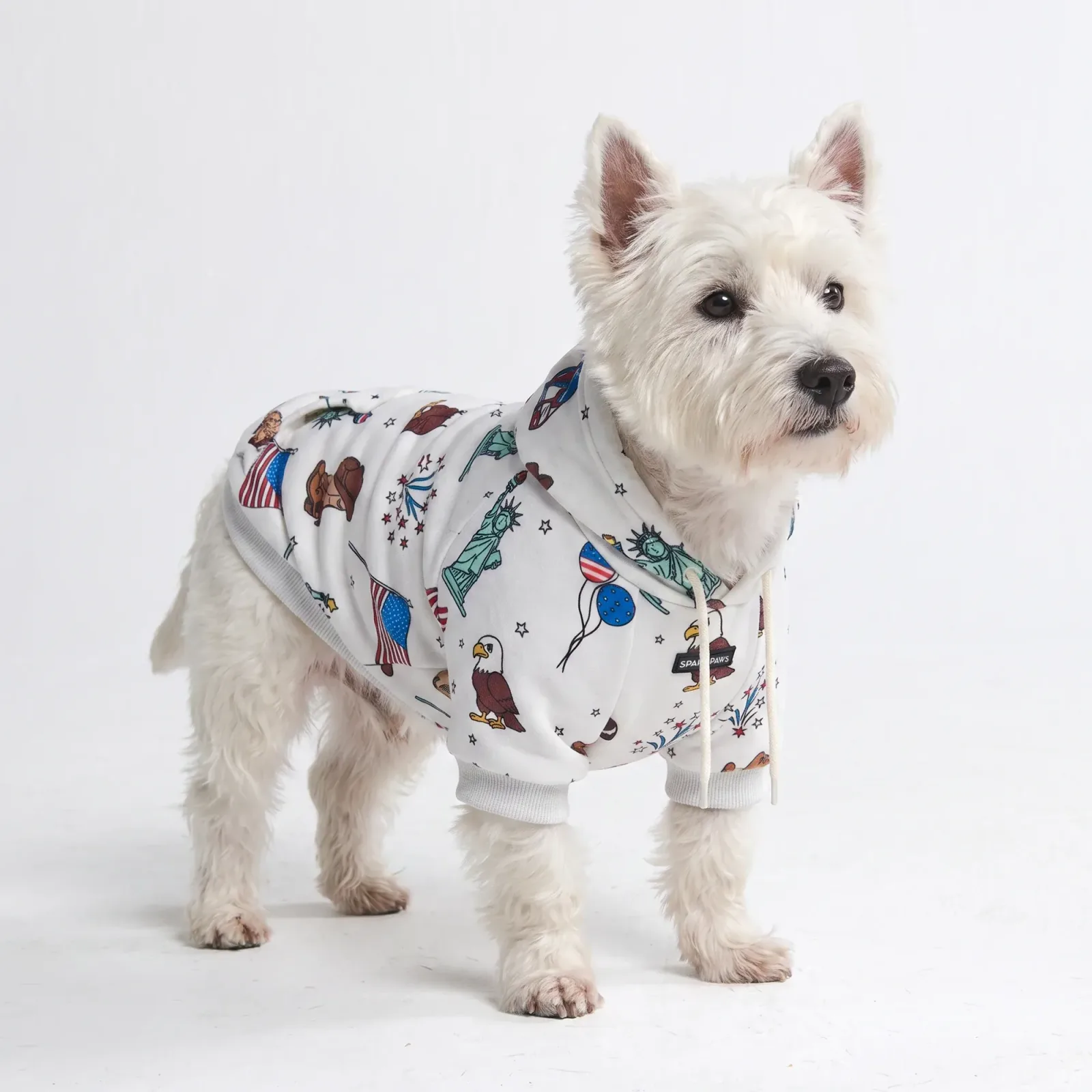 Around the World Dog Hoodies