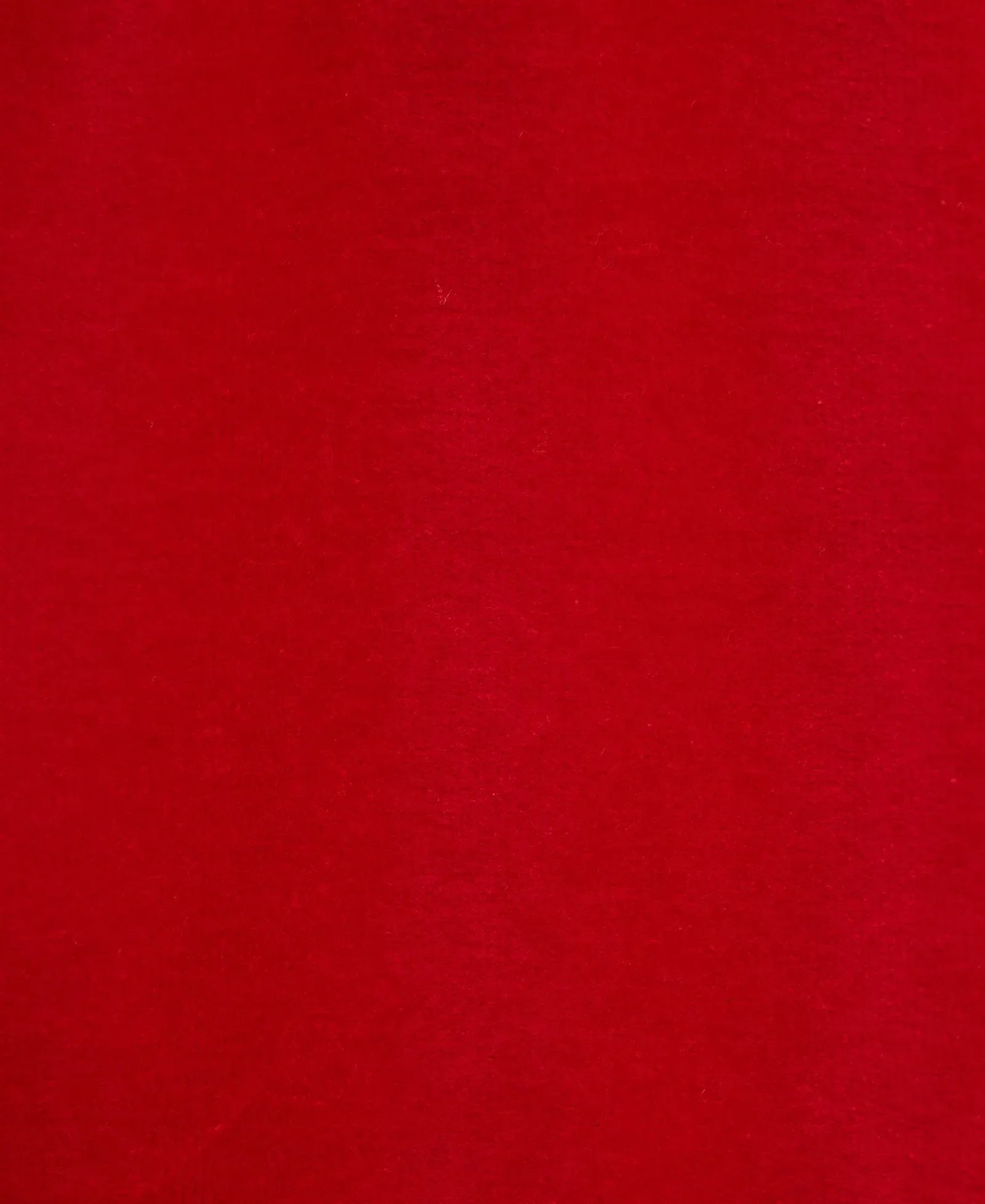 Santa Bear Velour Pant Set (3M-12M)