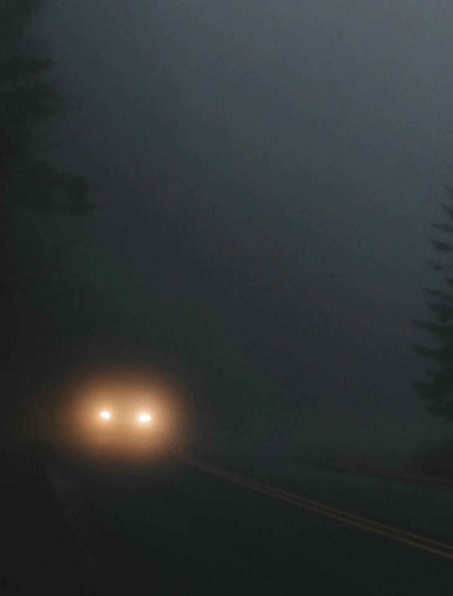 Dark is Night