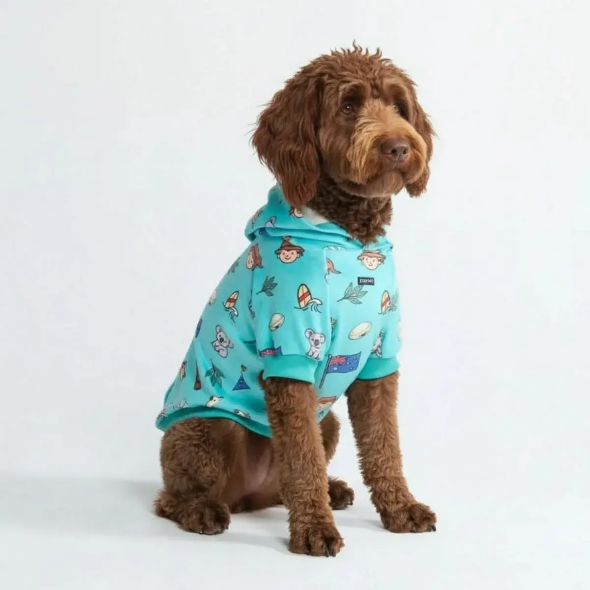 The Australia Dog Hoodie – Teal