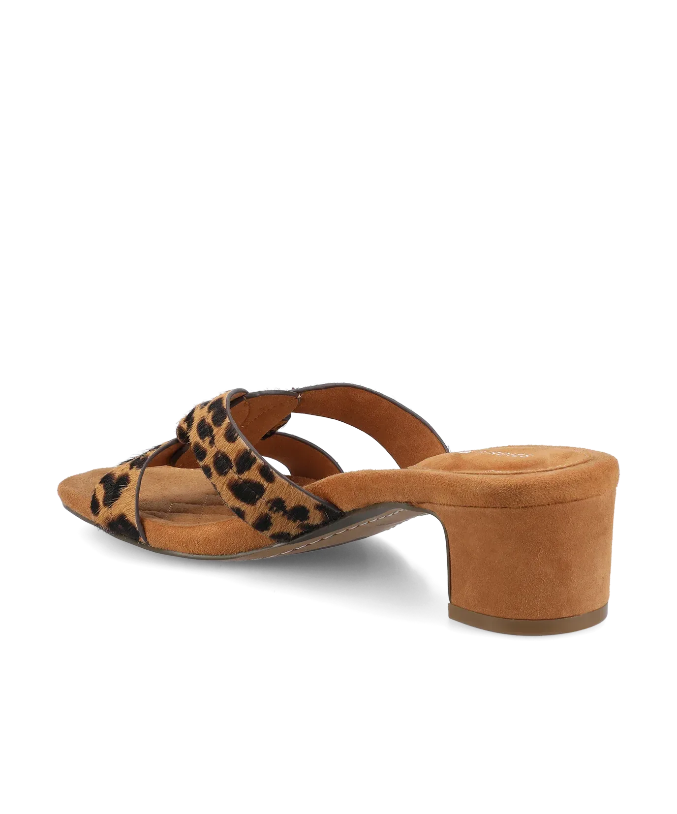 The Kiwi 40 Icon – Leopard Haircalf