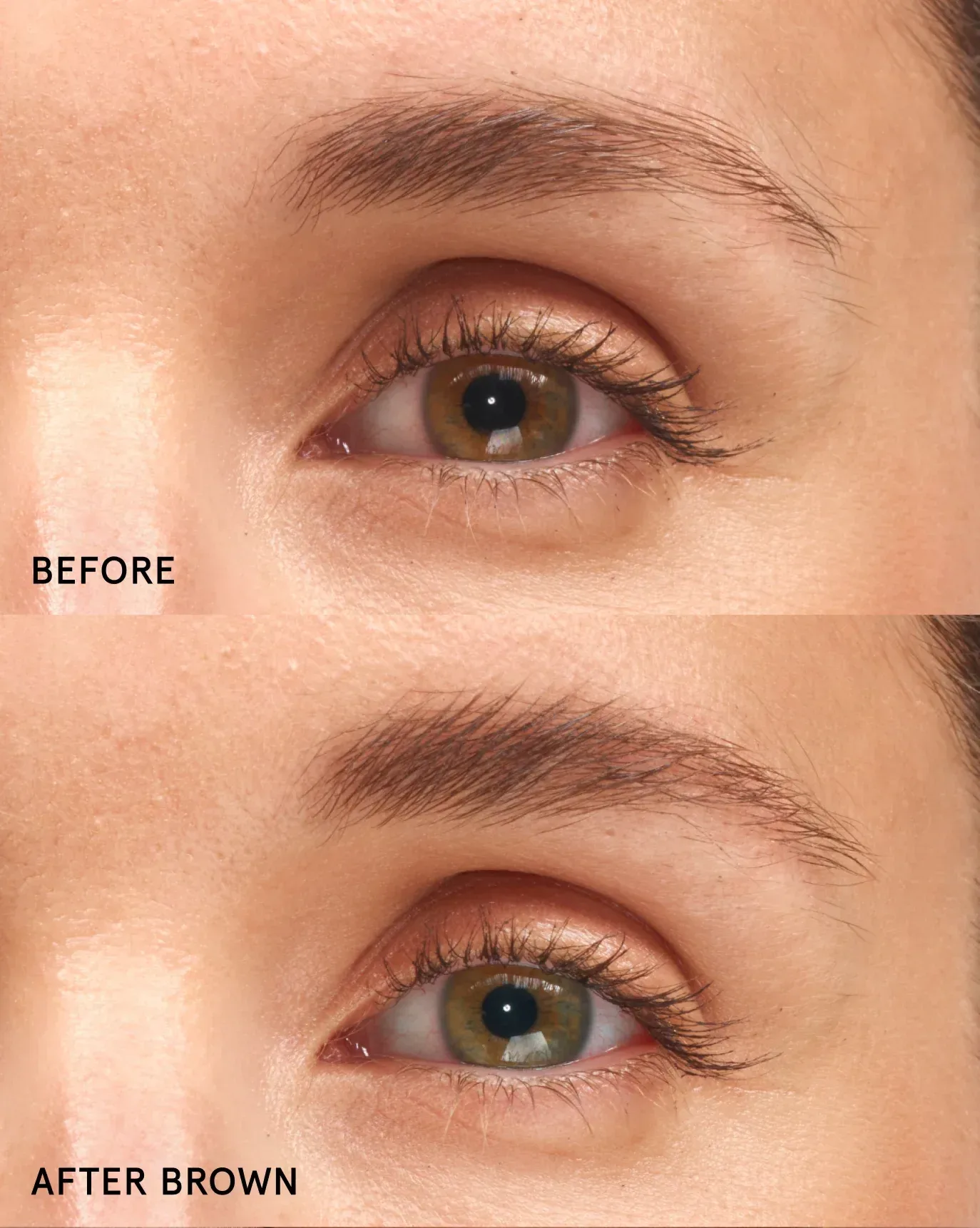 Boy Brow Duo