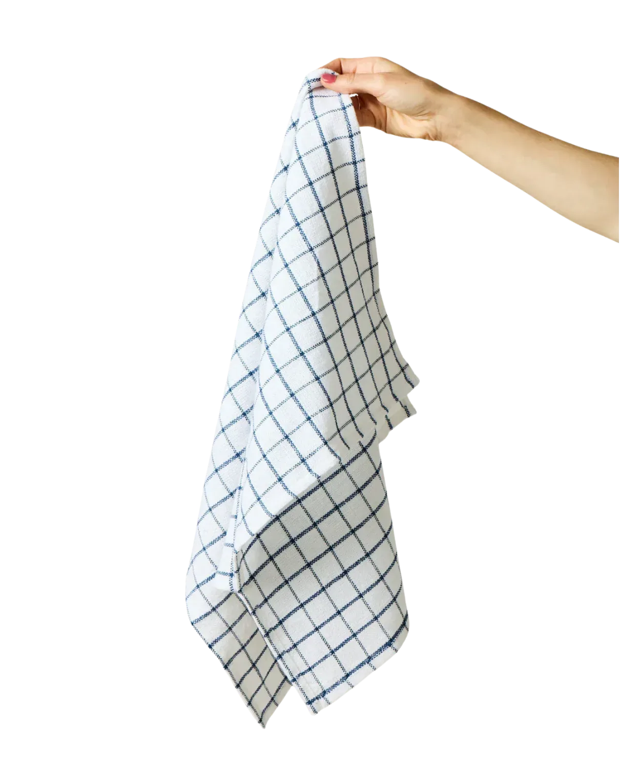 Pantry Cotton Check Kitchen Towels Set