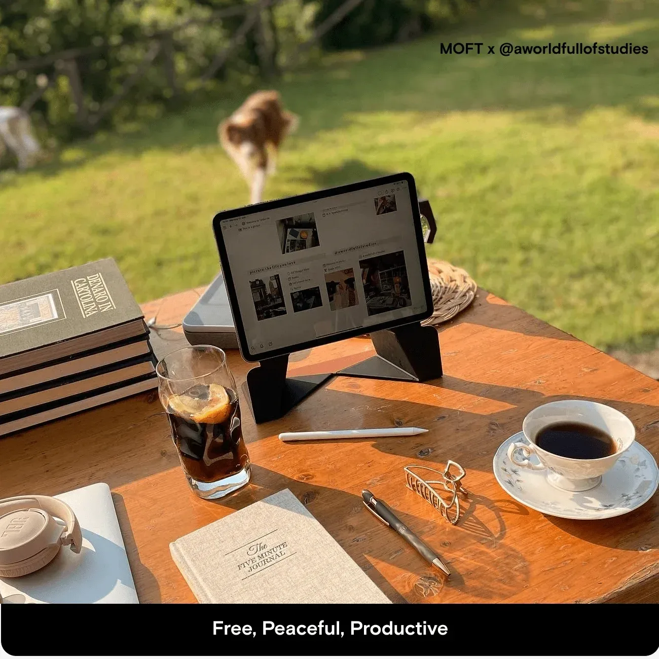 Snap Float Folio for iPads