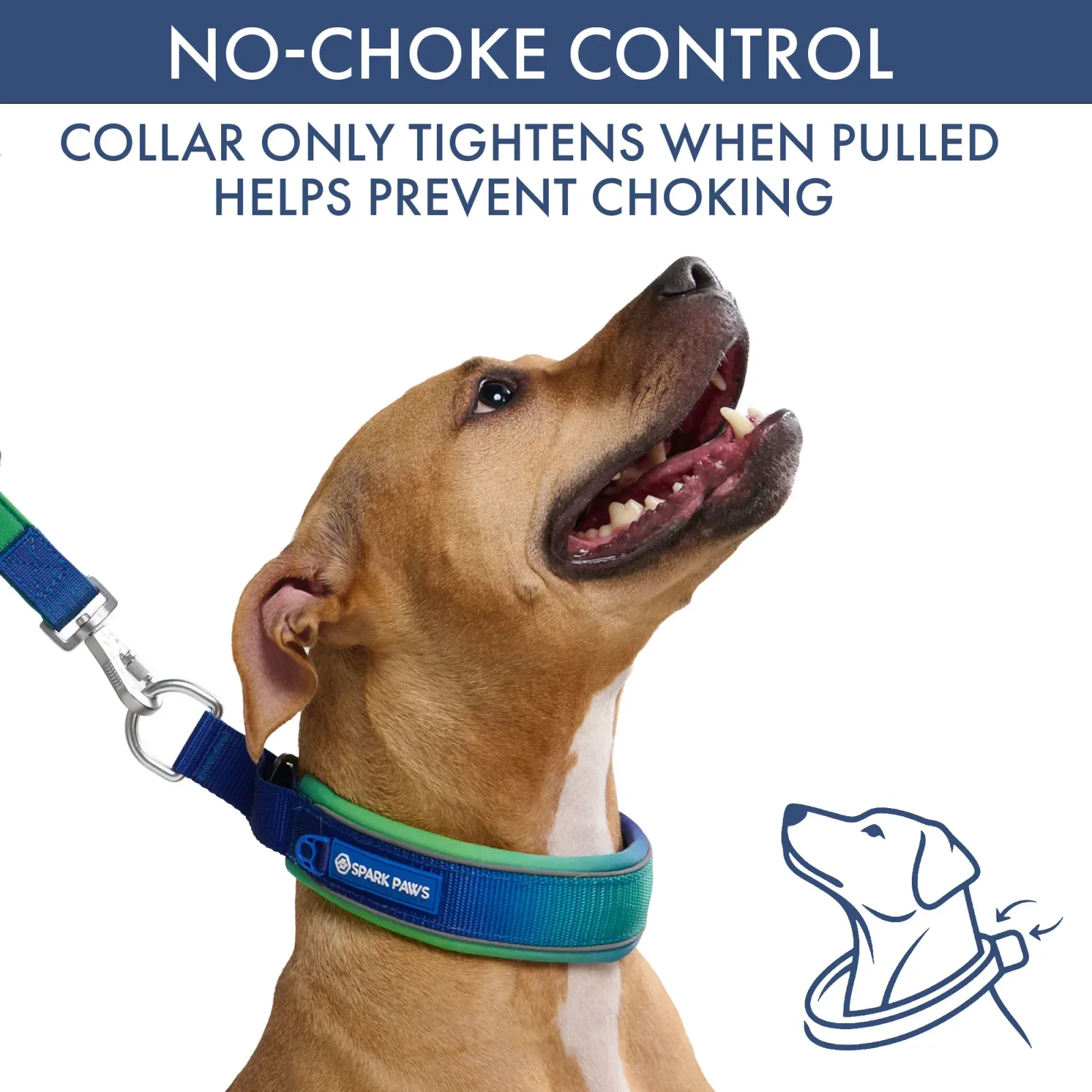 Martingale Collar and Multipurpose Leash Sets