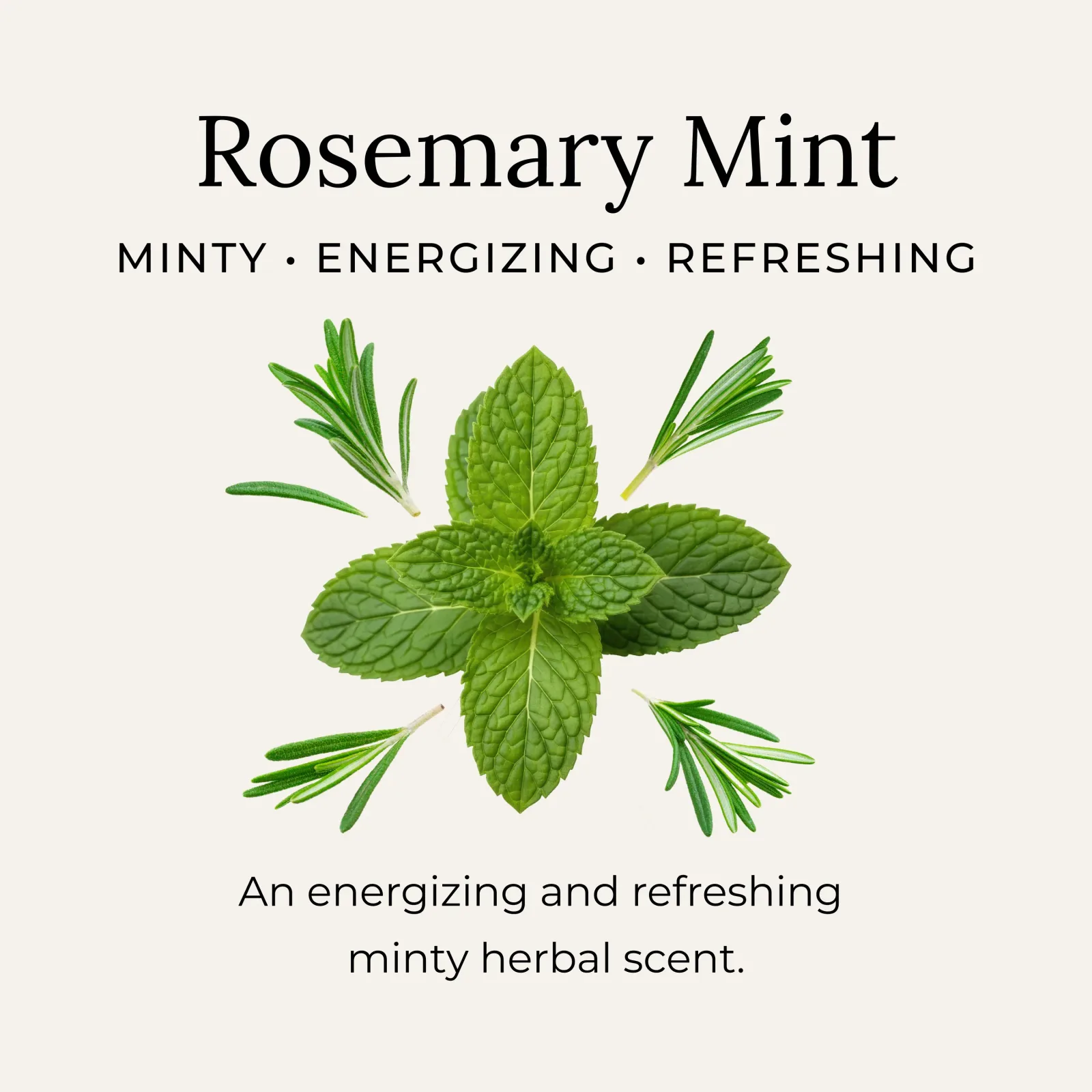 Rosemary Mint Bar