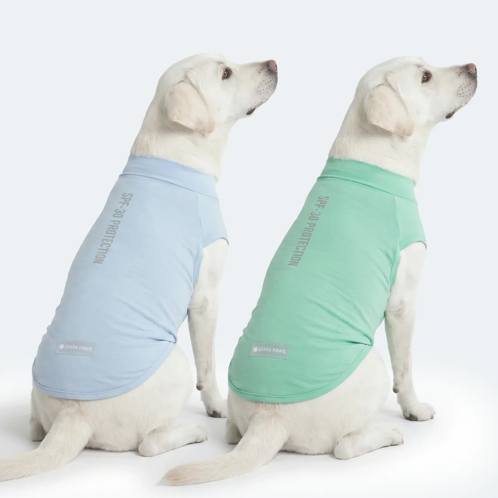 Sunblock Dog T-Shirt (2-pack) – Blue Mint