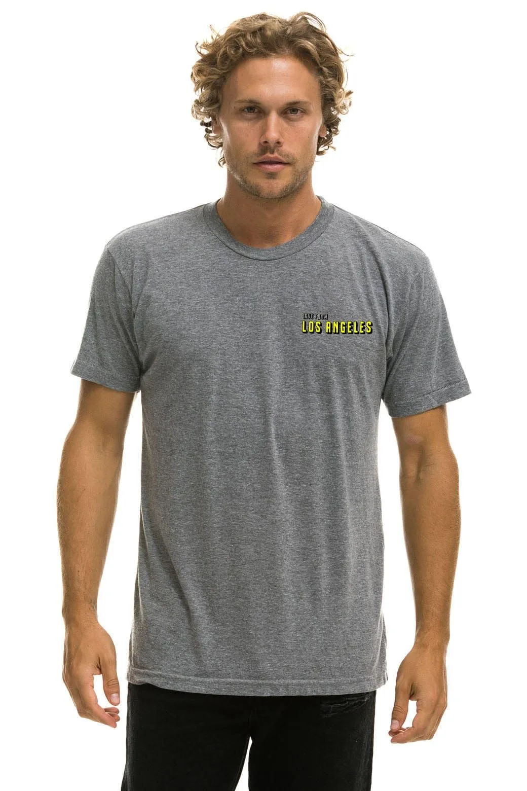 Dreamland LA Fires Benefit Crew Tee – Heather Grey