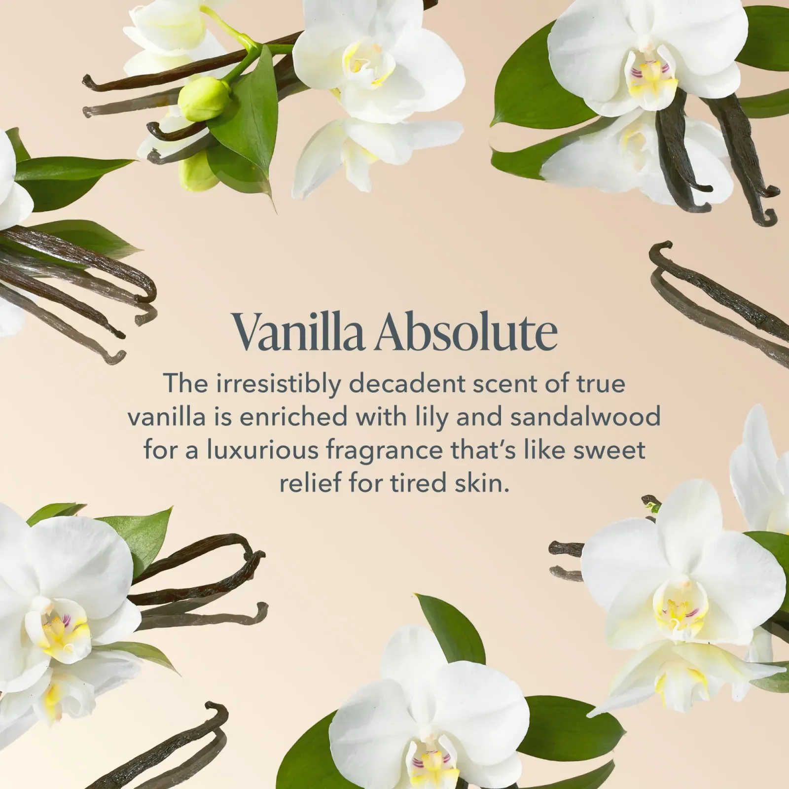 Vanilla Absolute Treats Hand & Lip Care Set