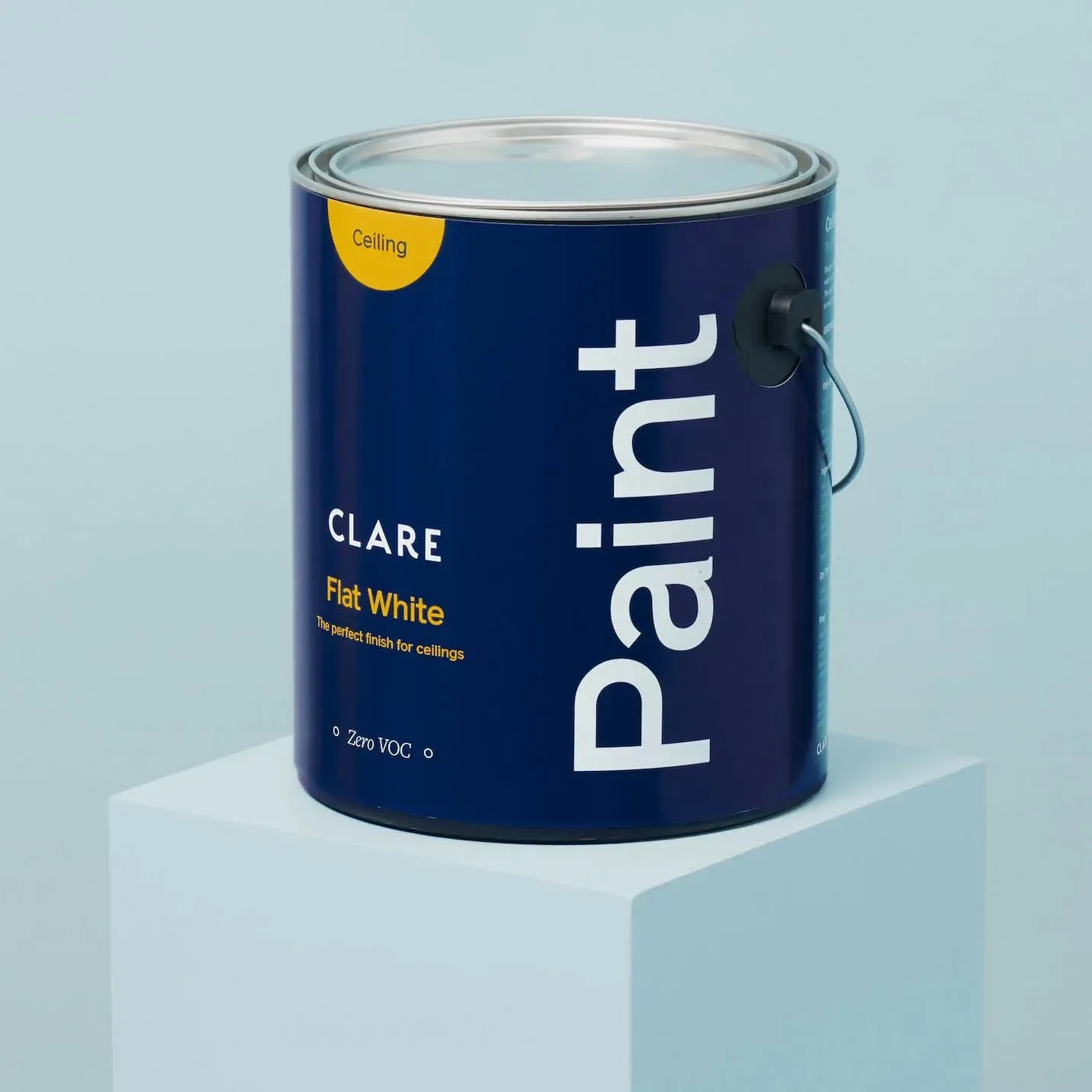 Ceiling Paint
