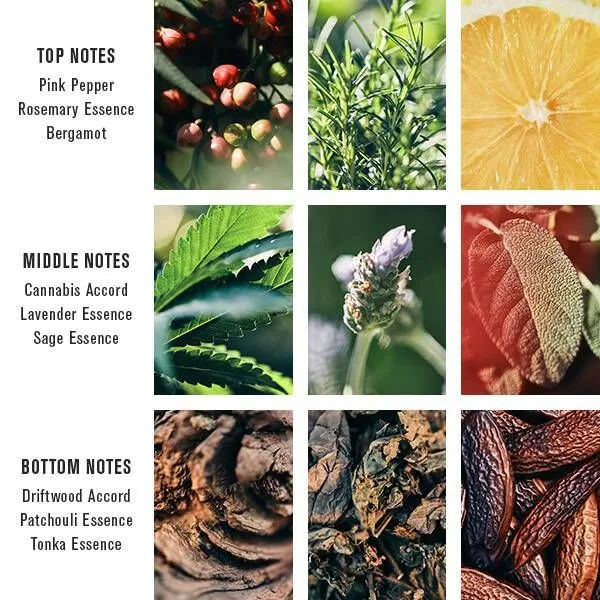 Pacific Cannabis