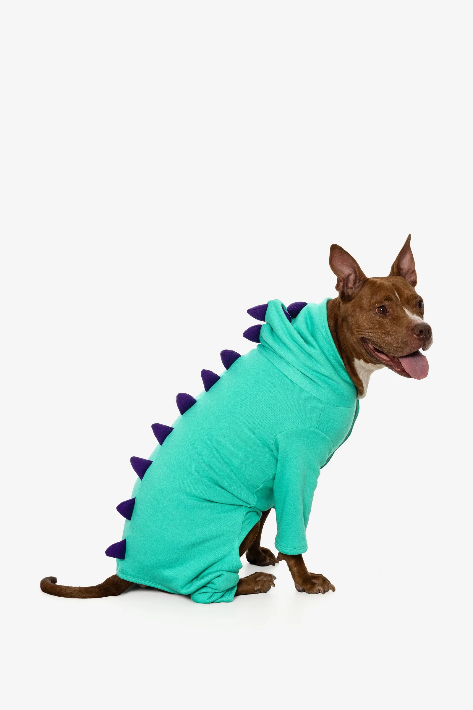 FF900 – Dogzilla