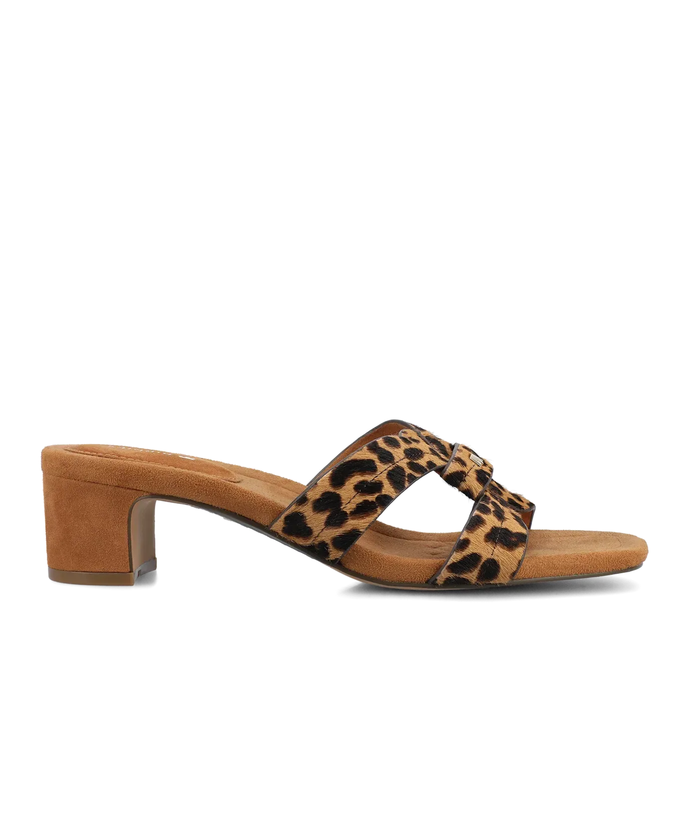 The Kiwi 40 Icon – Leopard Haircalf