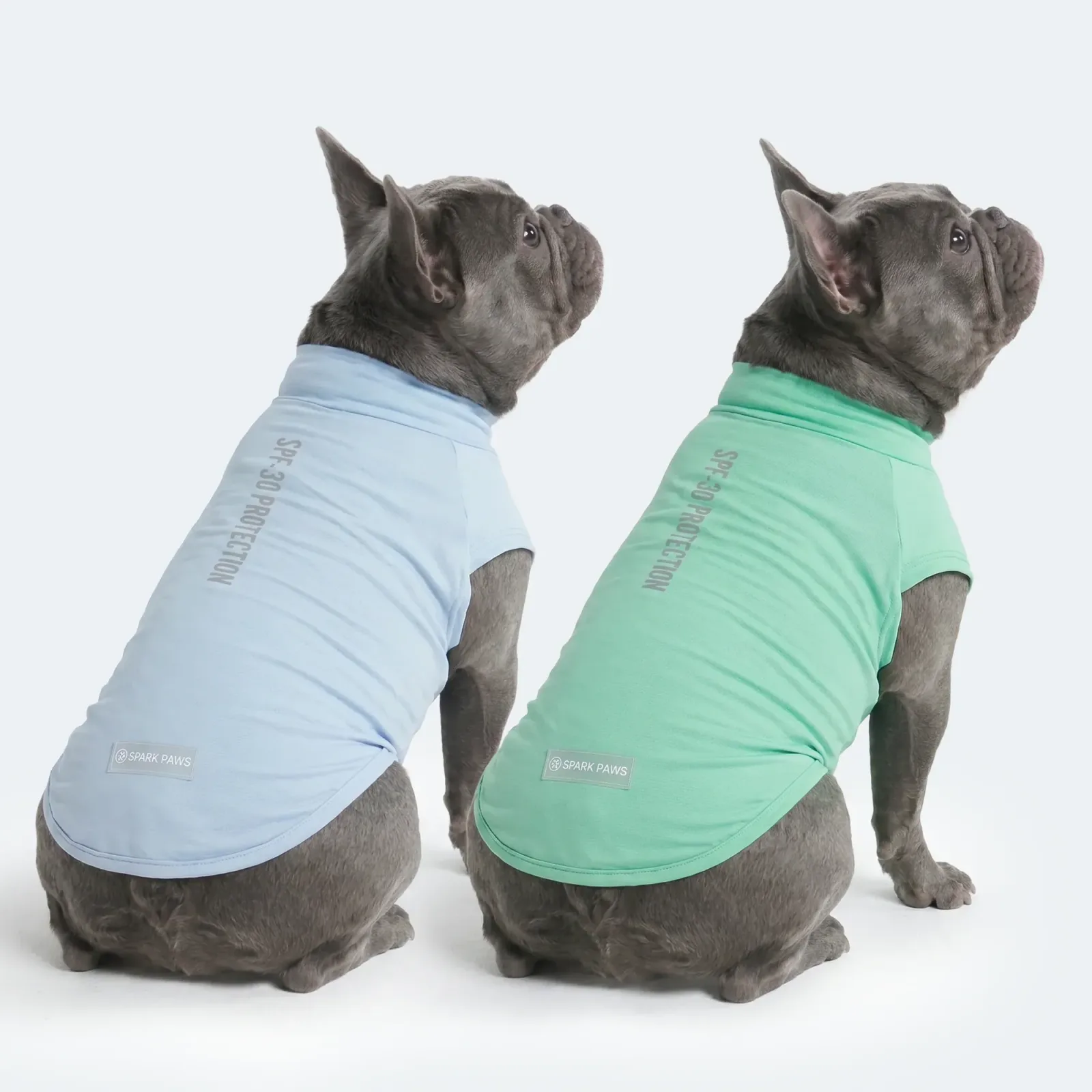 Sunblock Dog T-Shirt (2-pack) – Blue Mint