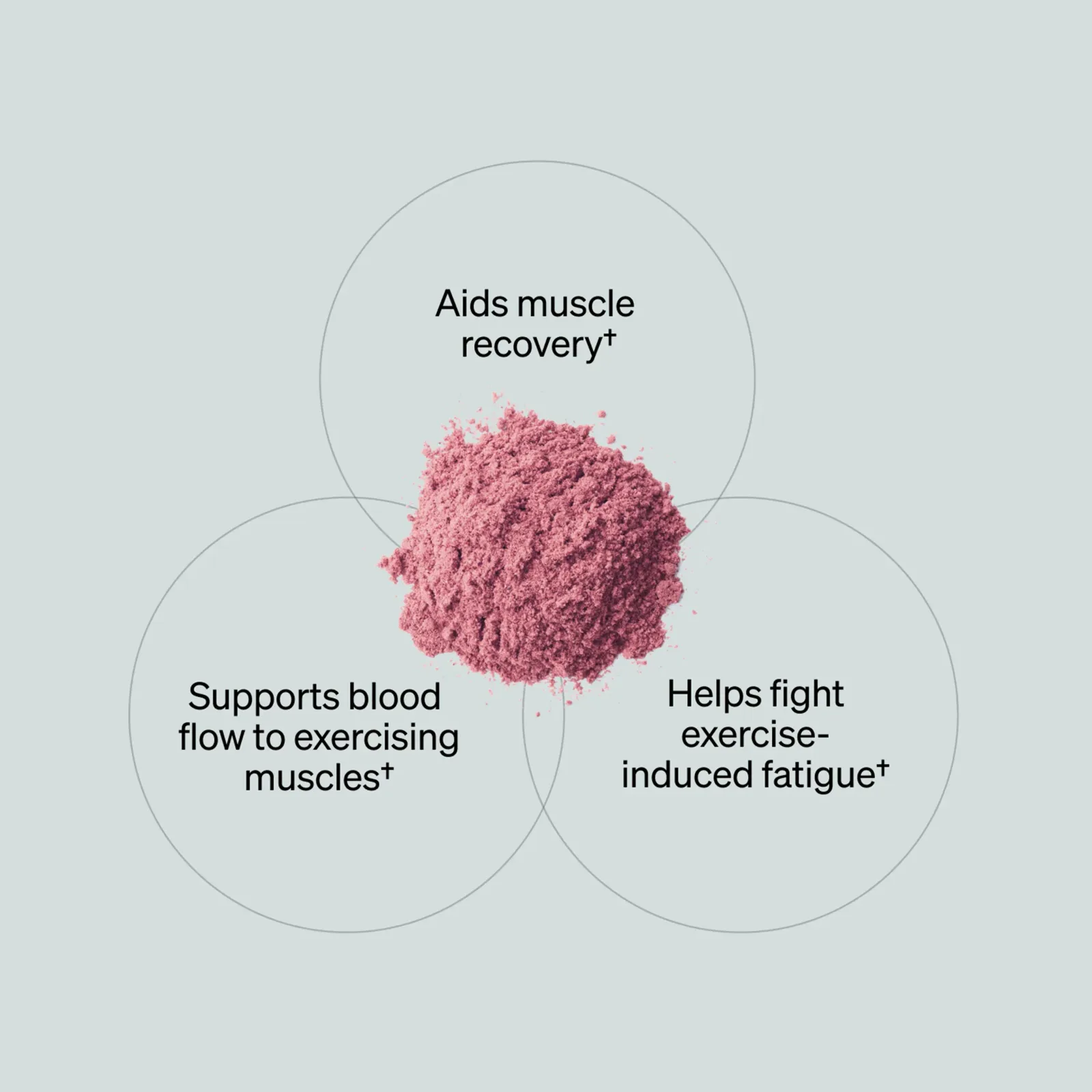 Total Nitric Oxide® – Harvest Fruit (20 Serving Tub)
