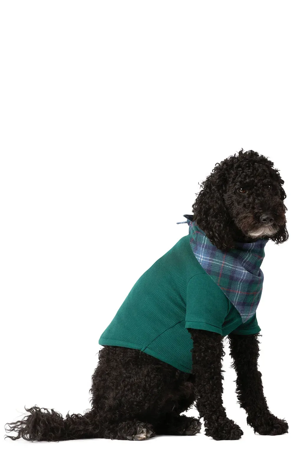 Heritage Plaid Thermal Pet Pajamas – Pet & Owner 2