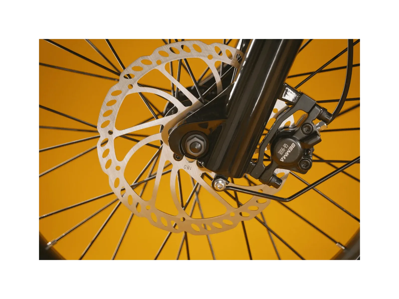 RadRunner™ Plus Electric Cargo Utility Bike
