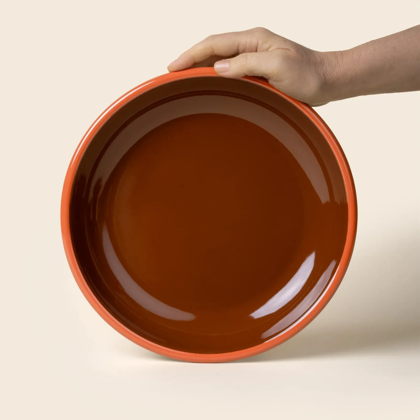 Solid Enamel Dinner Plate