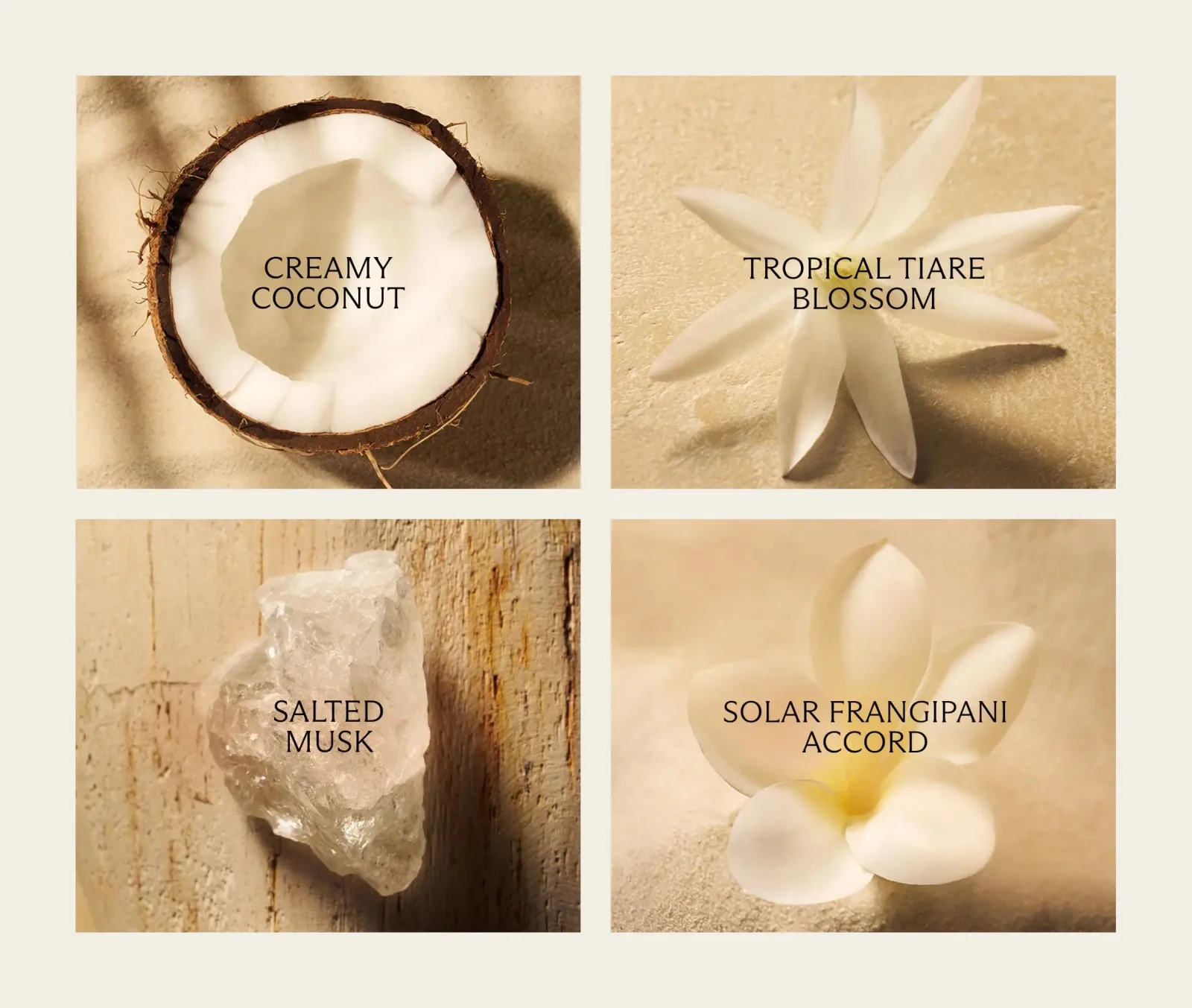 Balinese Coconut Eau de Parfum (50 mL)