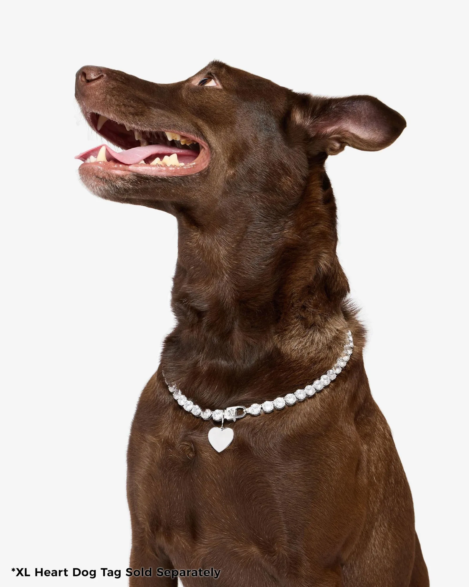 XL Heart Engravable Dog Tag – Silver