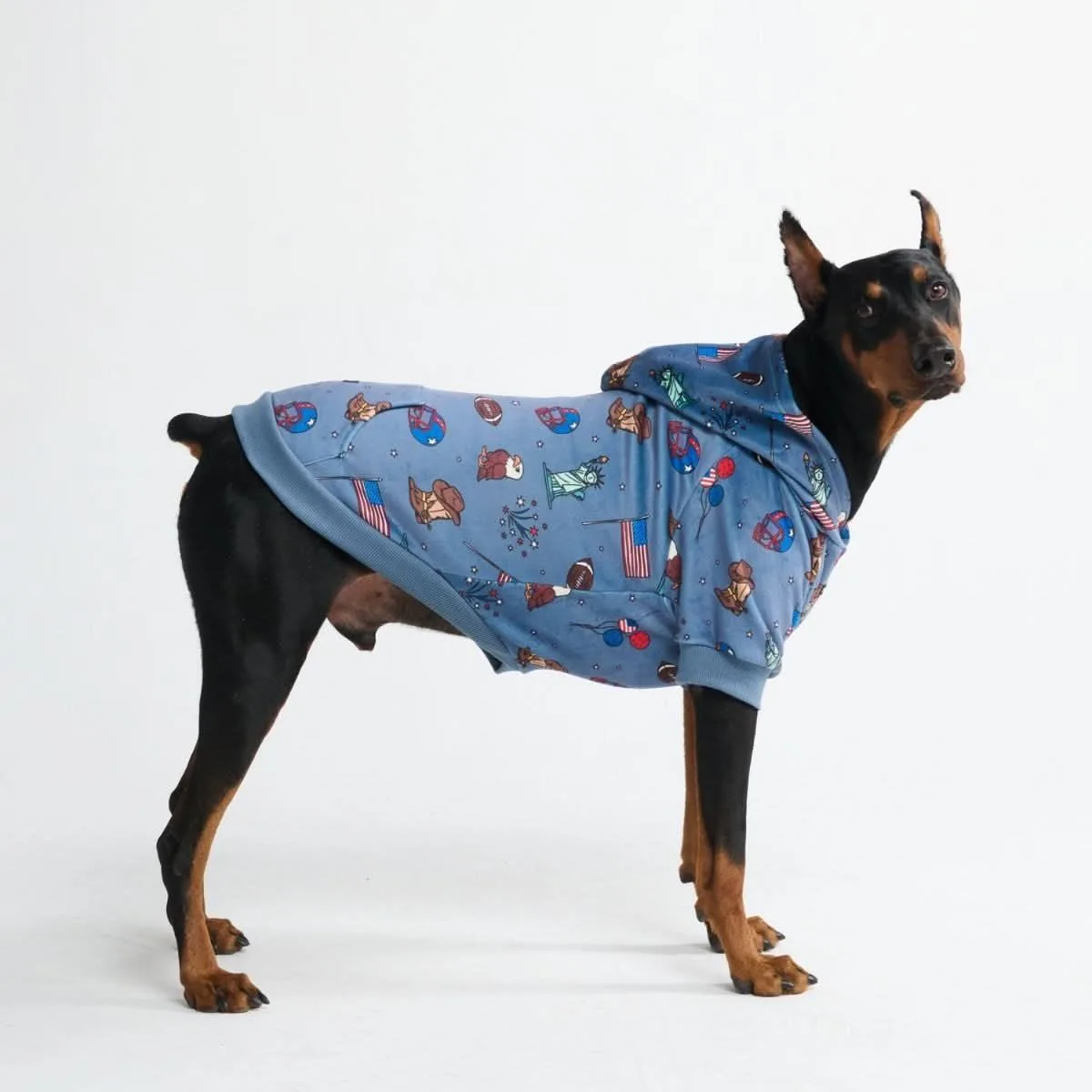 The USA Dog Hoodie – Blue