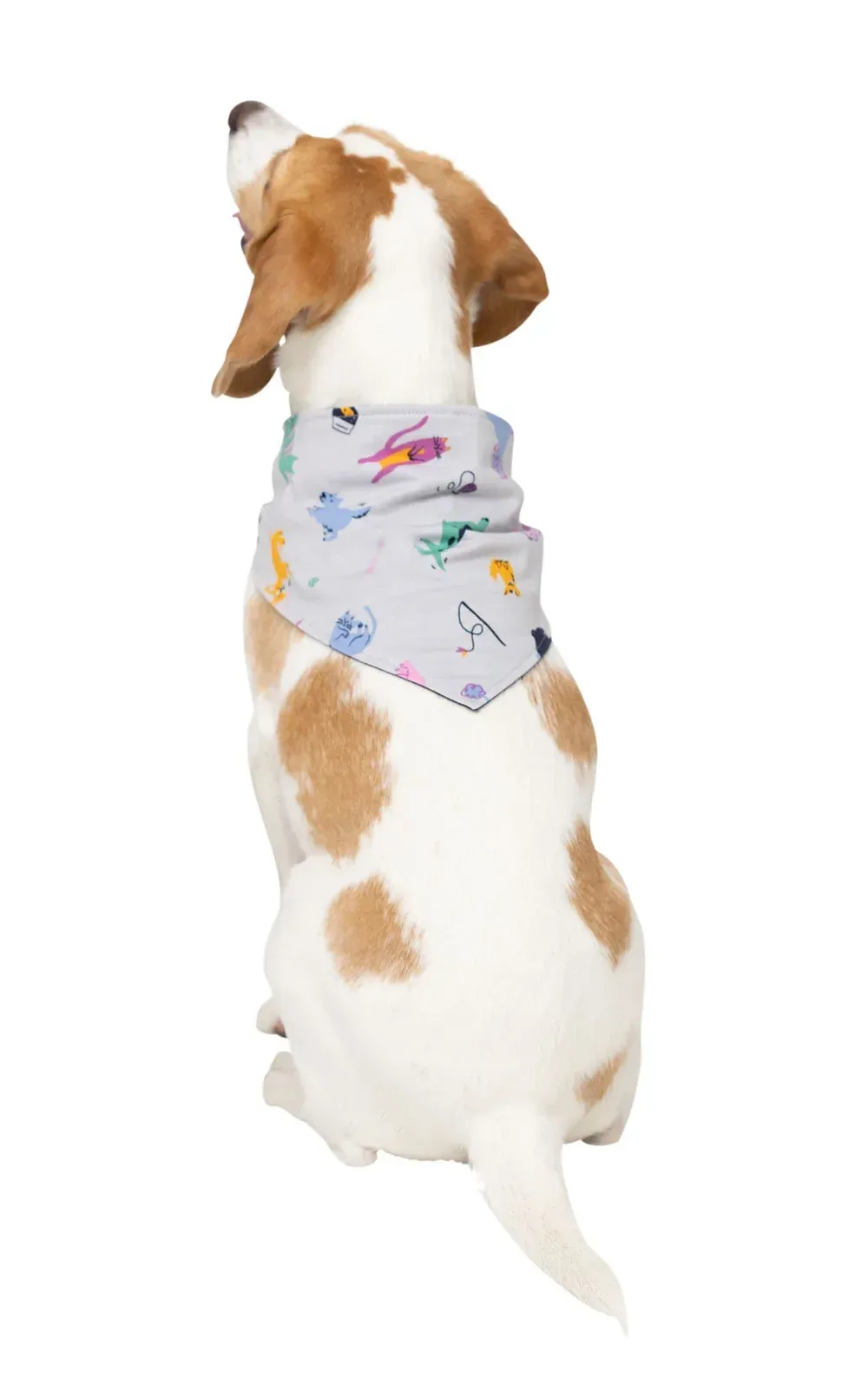 Pet Lovers Bandana Pajamas
