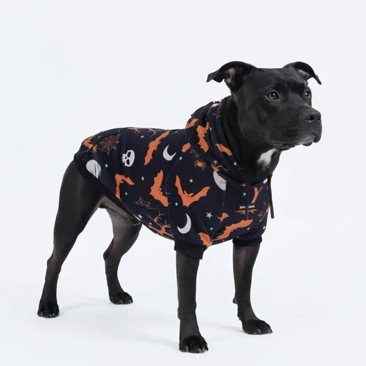 Halloween Dog Hoodie – Black