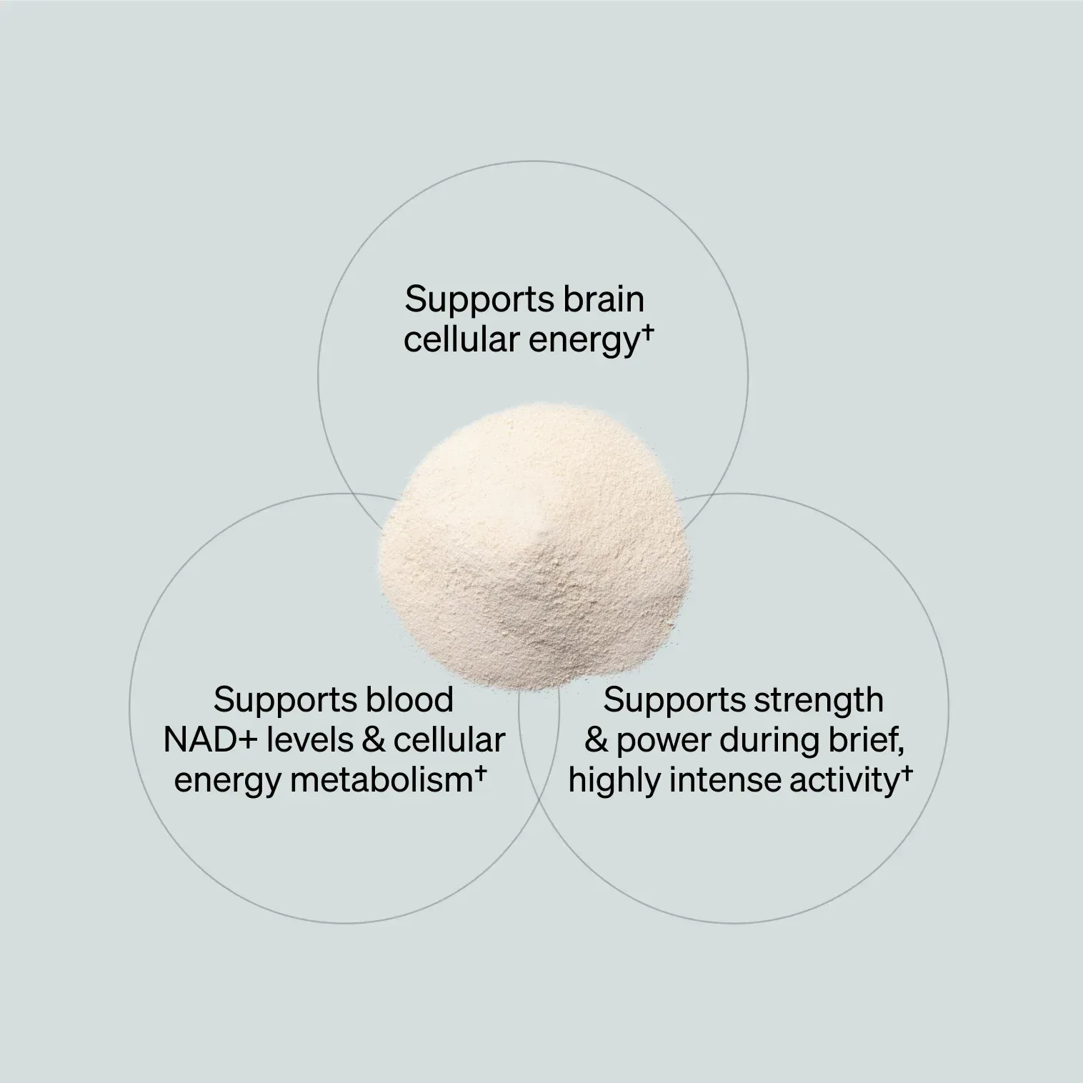 NMN + Creatine – Unflavored (30 ct)