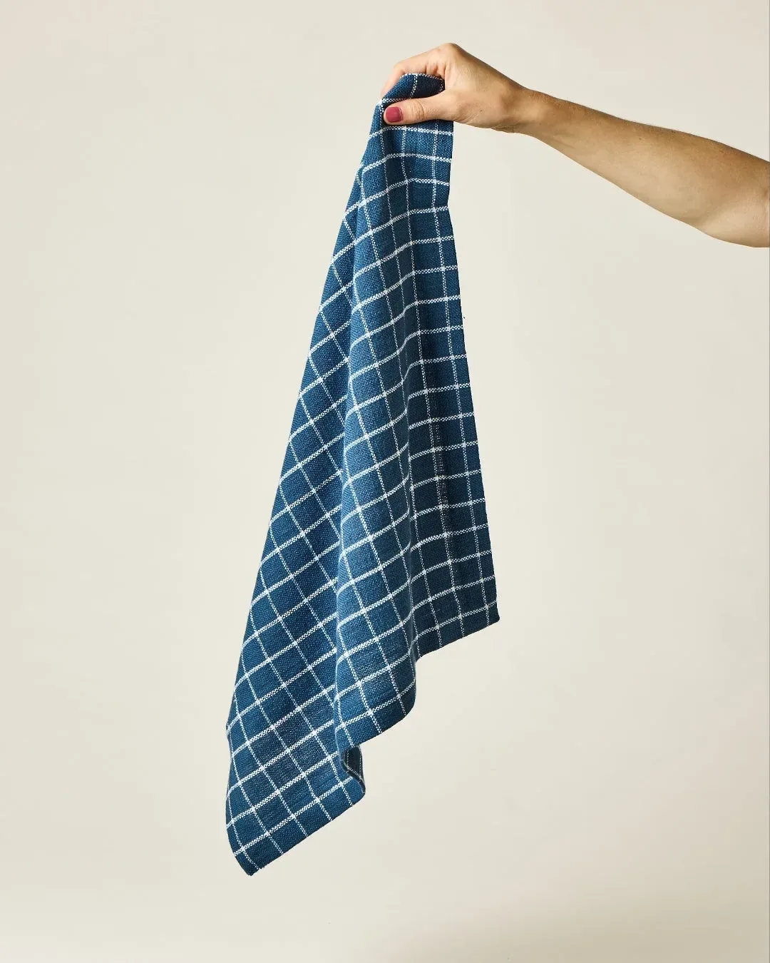 Pantry Cotton Check Kitchen Towels Set