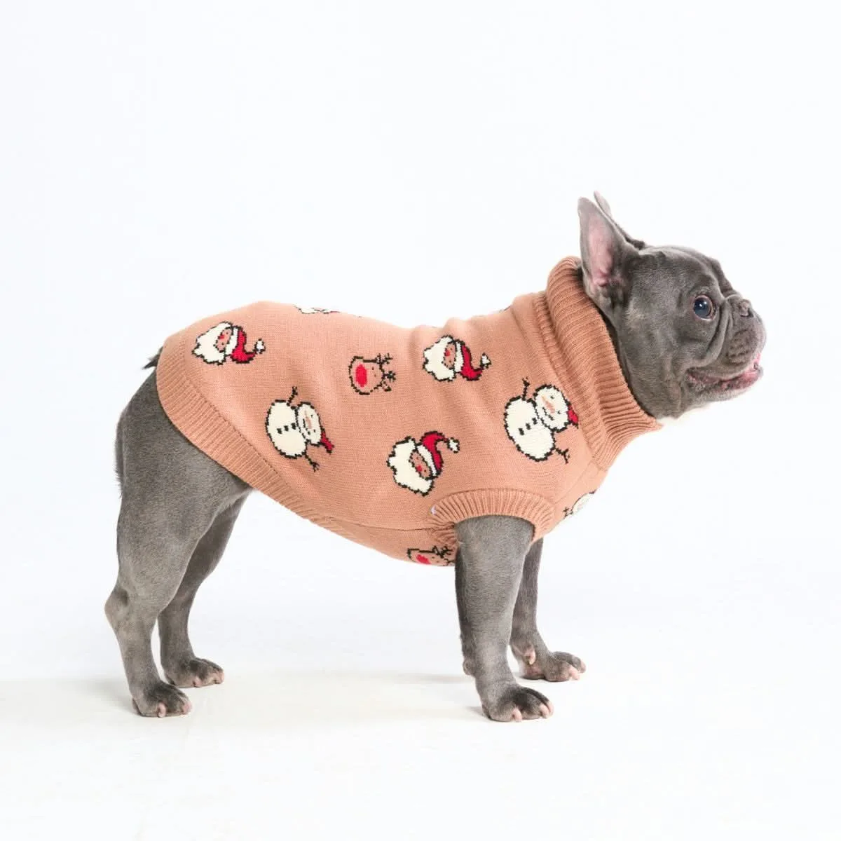 Christmas Knit Dog Sweater – Santa & Rudolph