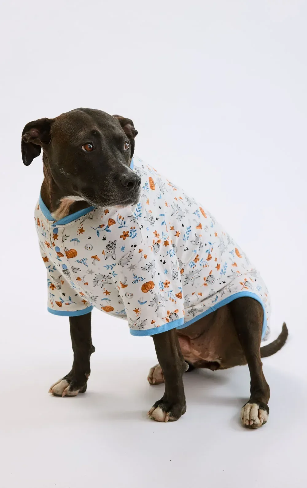It’s Freaking Bats Pet Pajamas