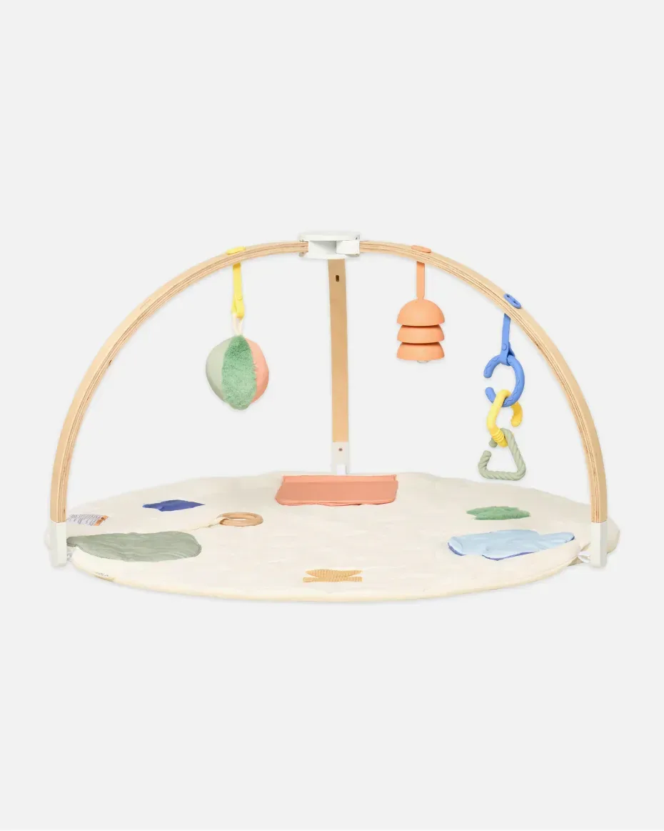The Play Gym II