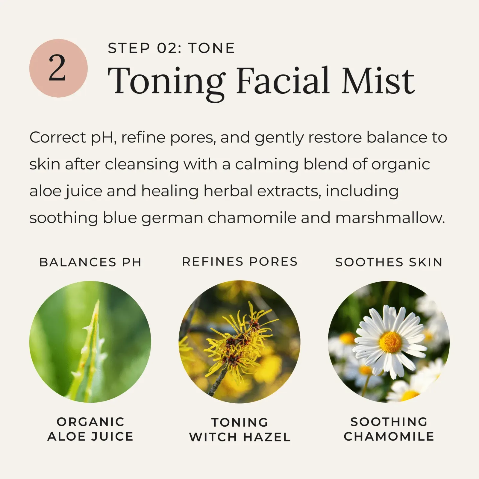 Renewed Skin – 3-Step Skin Care Set