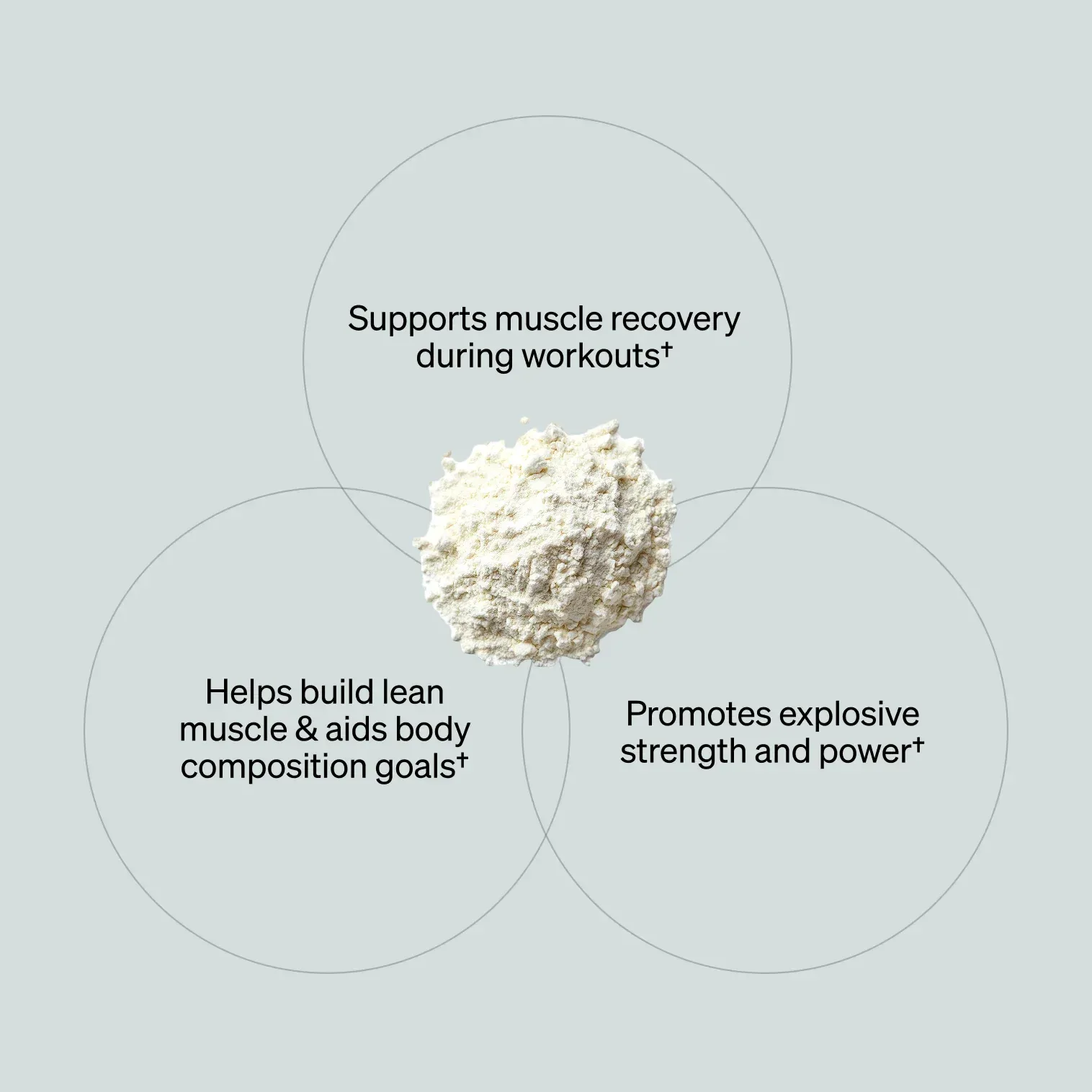 Creatine – Unflavored (90 Serving Tub)
