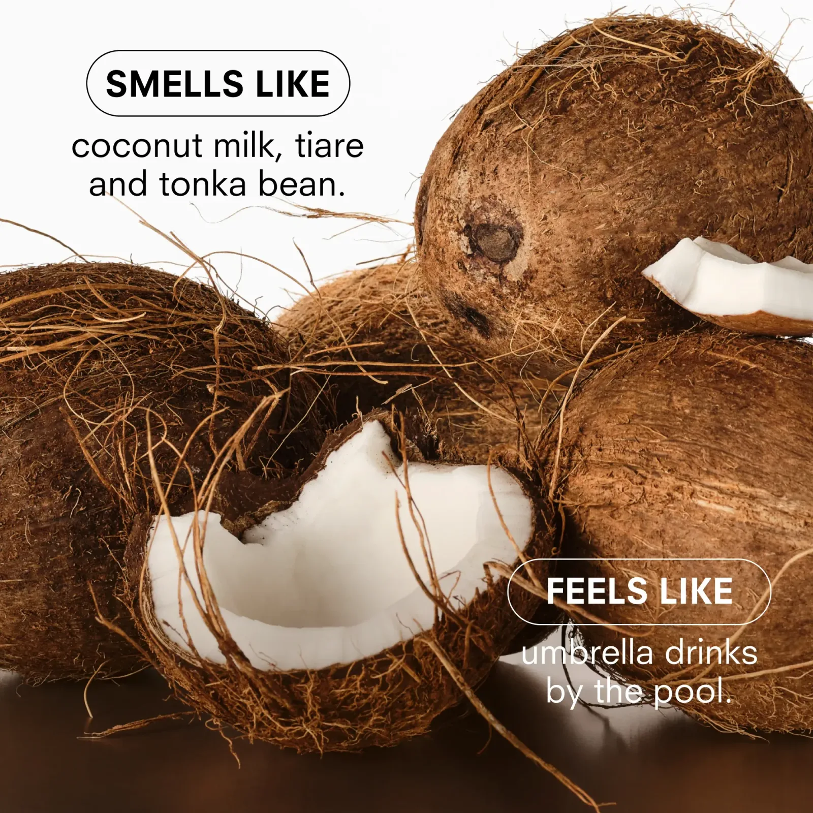 Coco Cream
