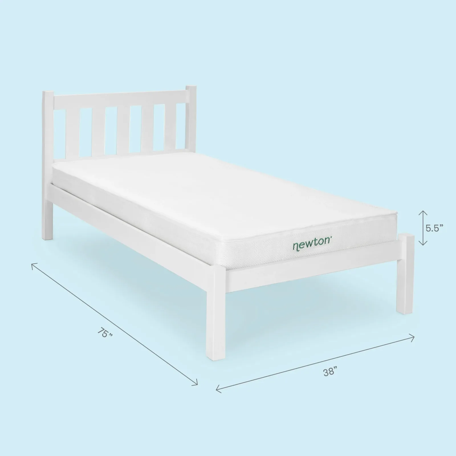 Newton Kids' Twin Mattress (5.5"h)