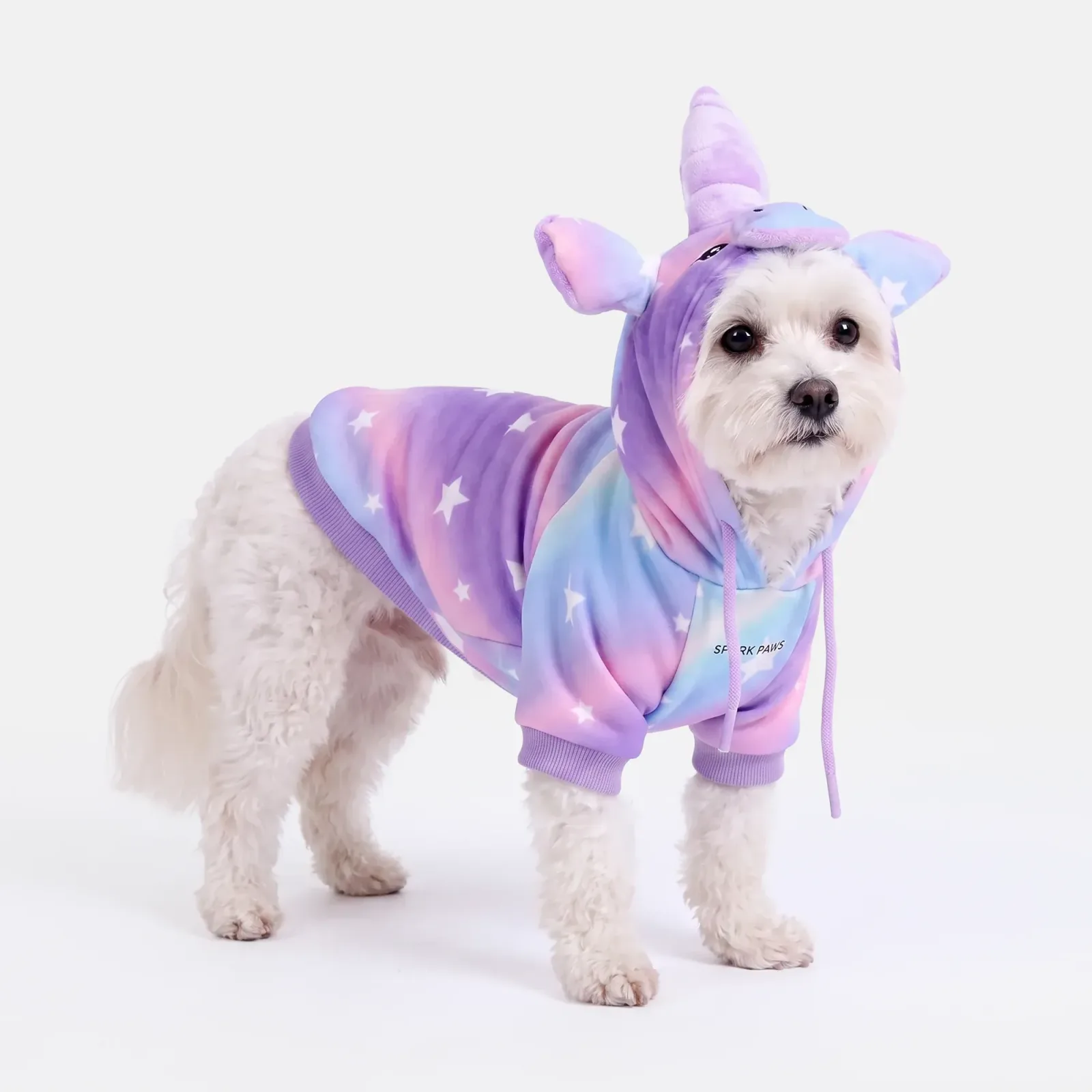 Halloween Dog Hoodies (Limited Edition)